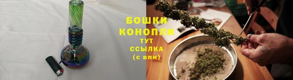 PSILOCYBIN Балабаново